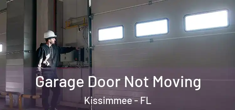  Garage Door Not Moving Kissimmee - FL